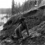 Playing Husky, Shungnak, Alaska, September 1973