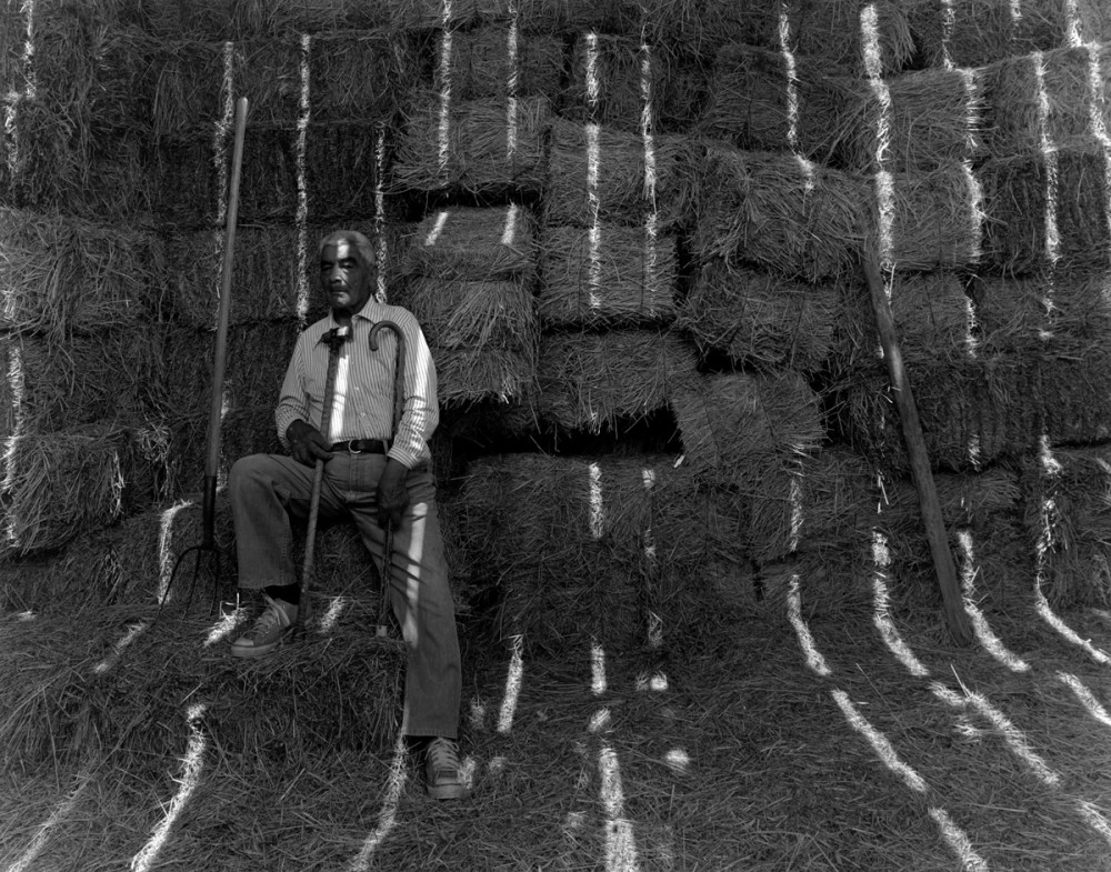 Jacobo Romero in his barn, El Valle, New Mexico, 1979