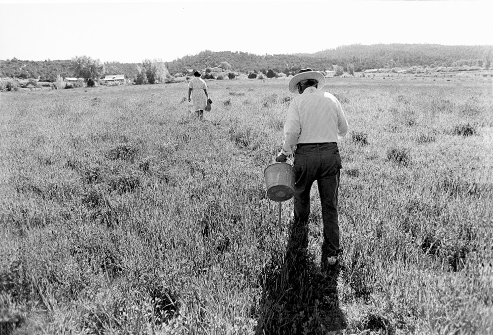 Jacobo and Eliza walking home with wild spinach, El Valle, New Mexico, 1979