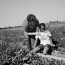 Strawberry picking near Rantoul, Illinois, 2001